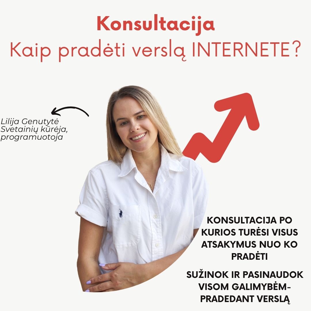 KONSULTACIJA- PRADEDAM VERSLĄ INTERNETE