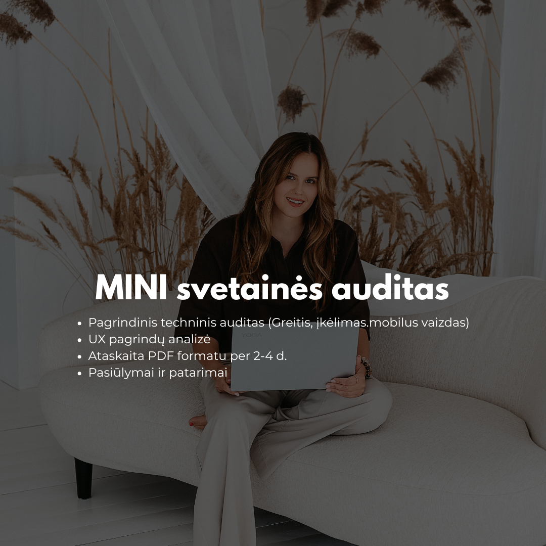 MINI SVETAINĖS AUDITAS